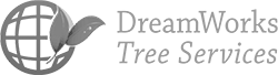 logo-Dreamworks-Tree-Services